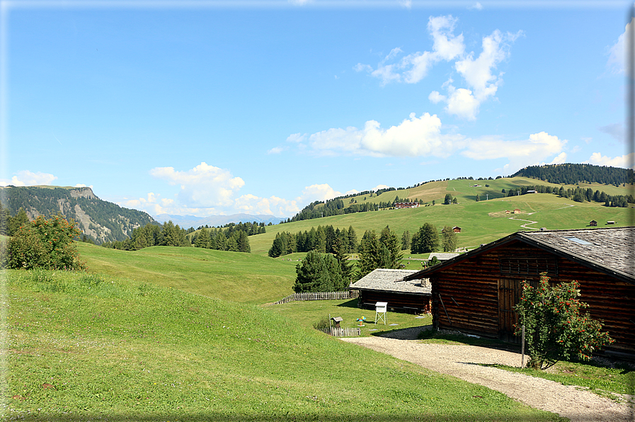 foto Alpe di Siusi